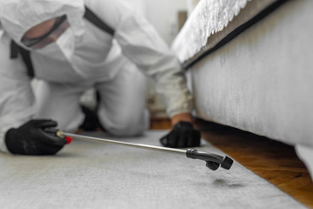 Professional Termite Control technician working in Fairview, UT