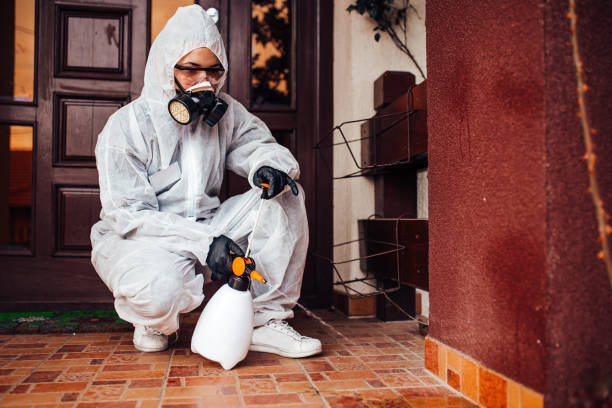 Reliable Termite Control contractor in Fairview, UT by Nex Pest Control
